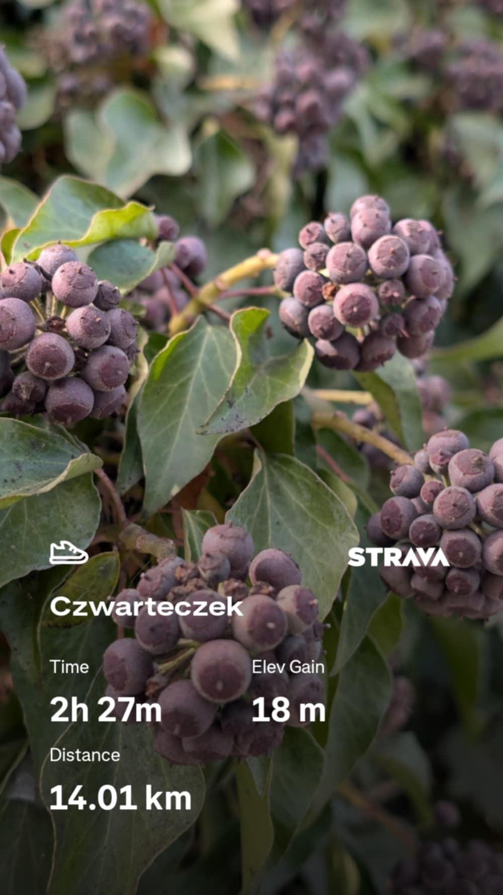 d9369170-e941-4673-b29c-4cc41813c159