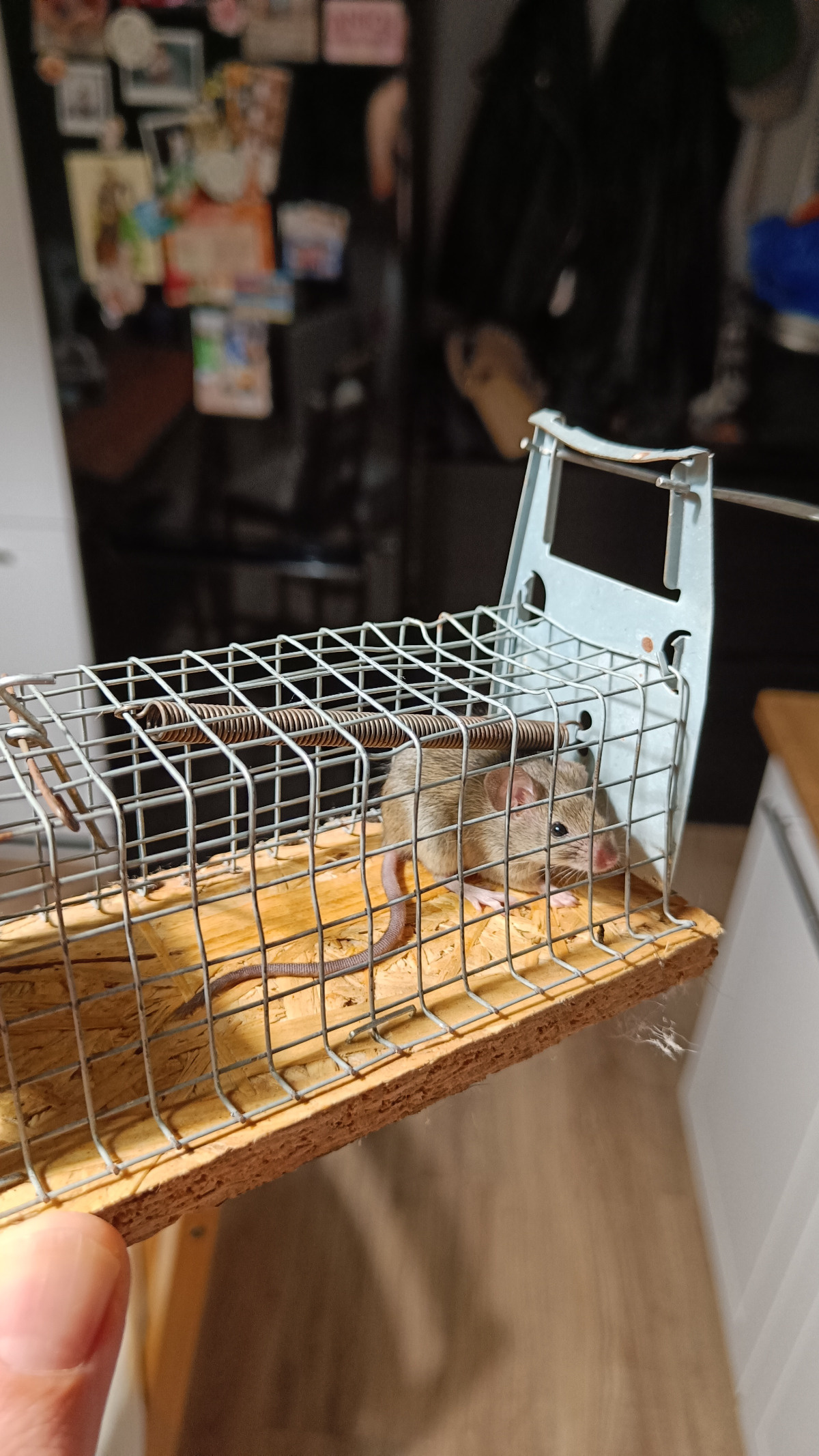 834c369c-df9c-4e2b-87ab-6696cba14677