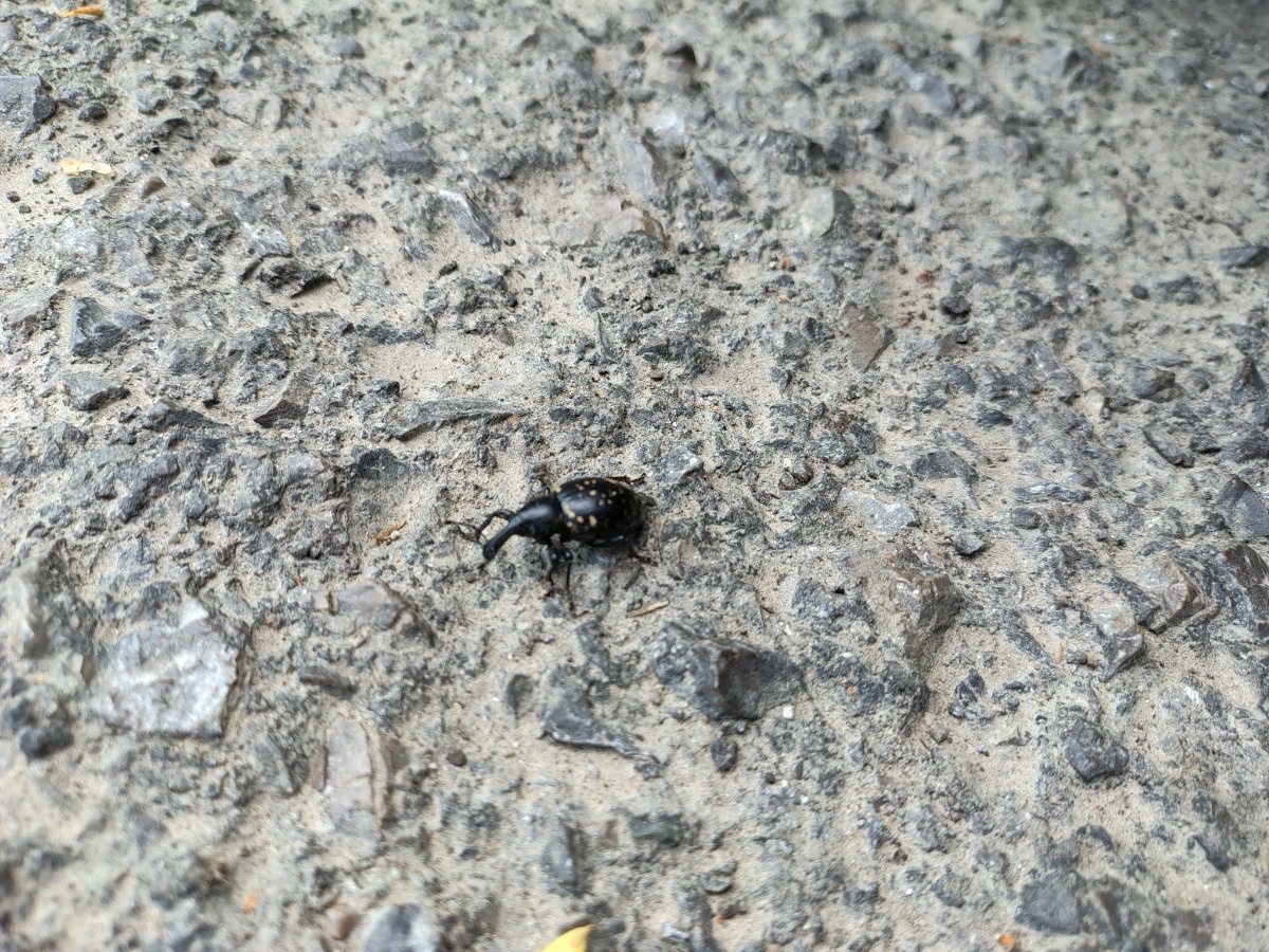 20c9aca1-526c-48e2-b7e3-70698179f3ae