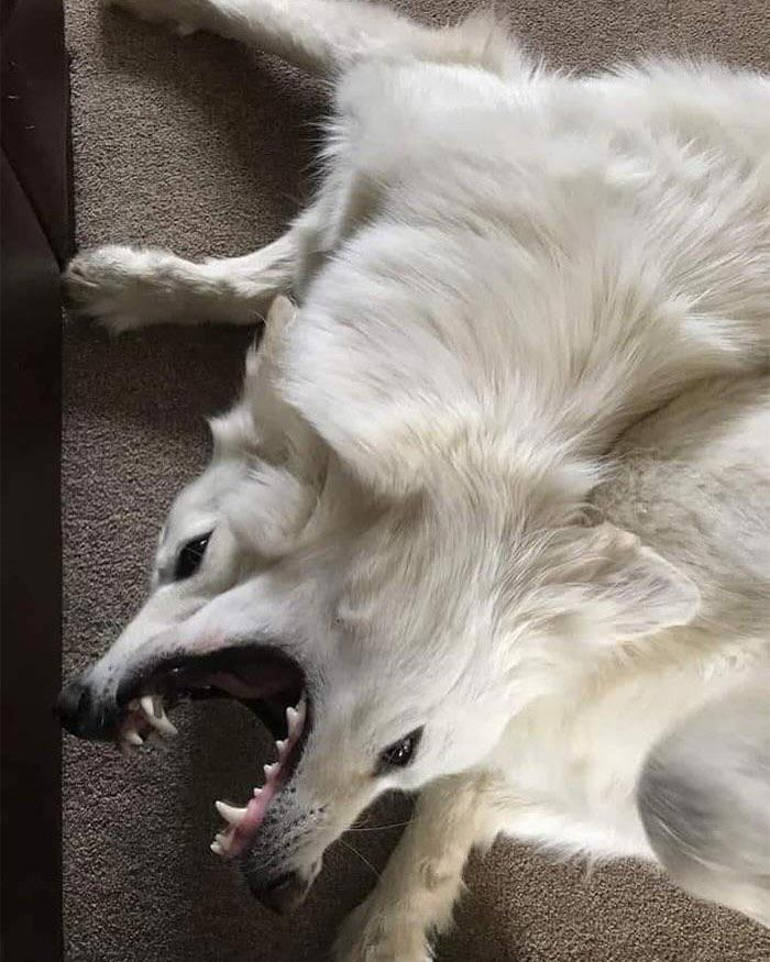 1a68a08c-5d51-4472-976d-92afaa39c19b