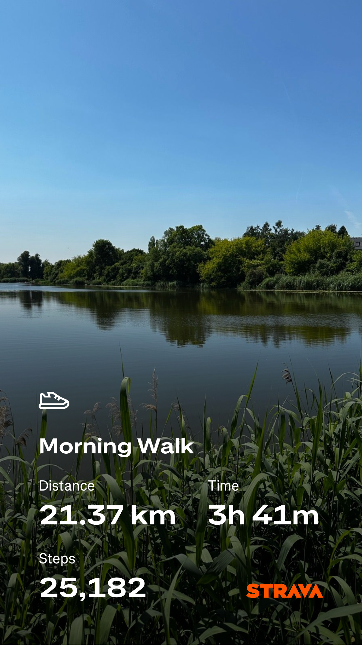 da6f76d1-b1e5-401e-994c-f31fd72017a7