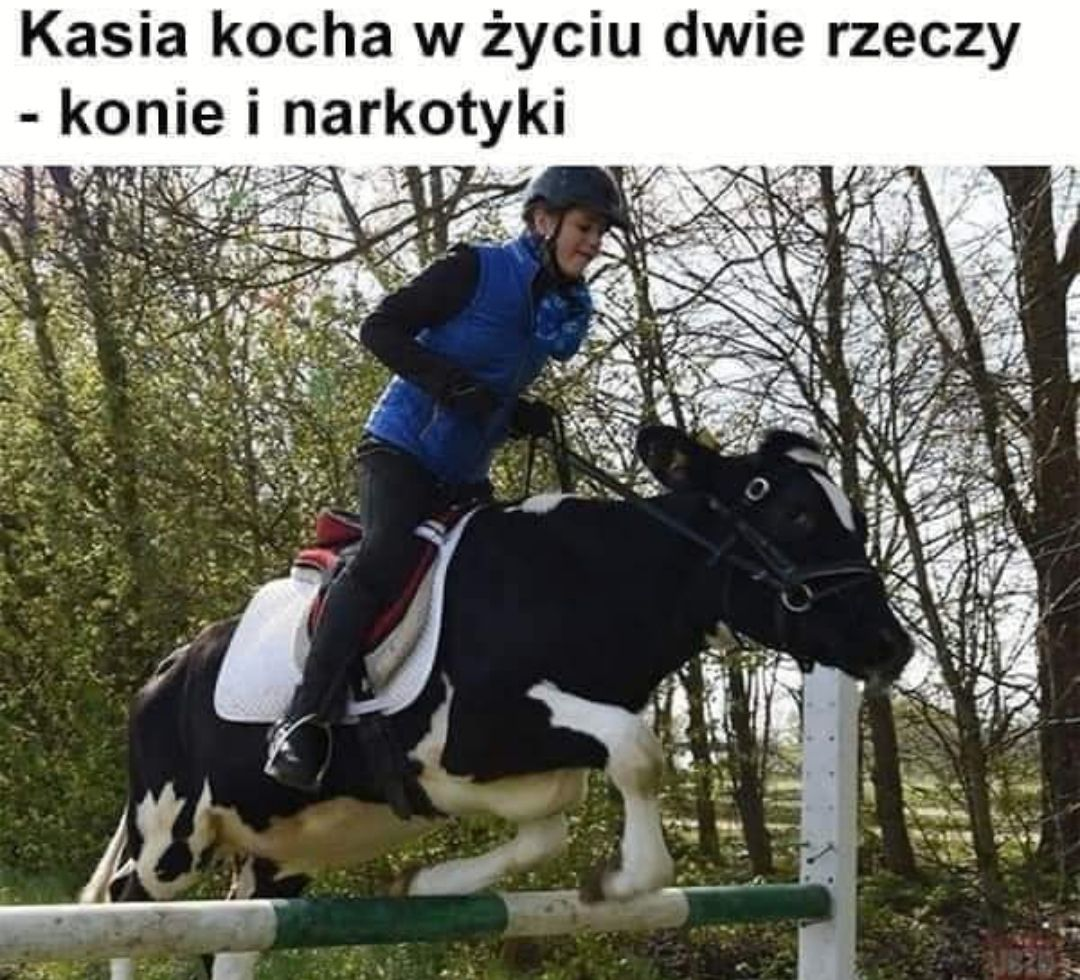 176dbef9-e4f3-4e06-96da-f03f43c281be