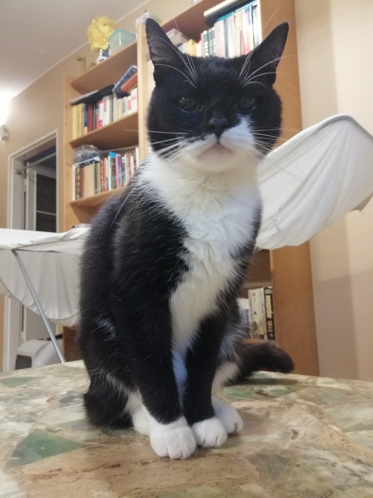 cd01bce0-dcce-41bb-9848-12a254fbbbc7