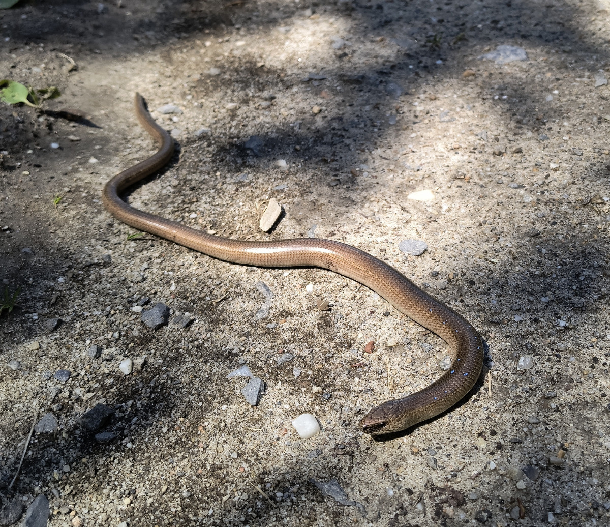 ba894560-ba2a-4bc9-a82c-c5d9c8a526e4