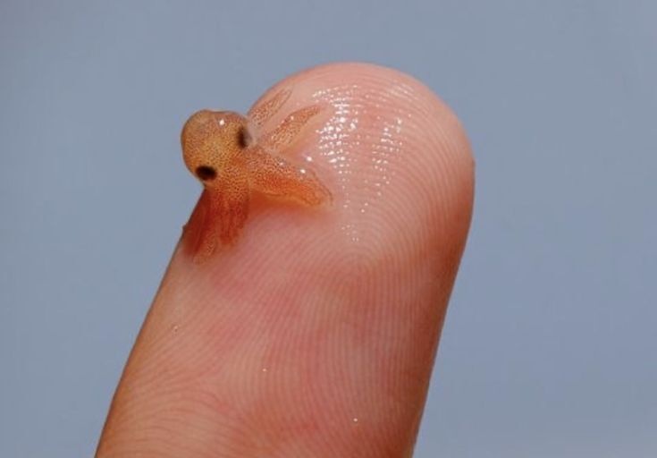 0eec1838-73a5-4d01-aee2-26b33909924a