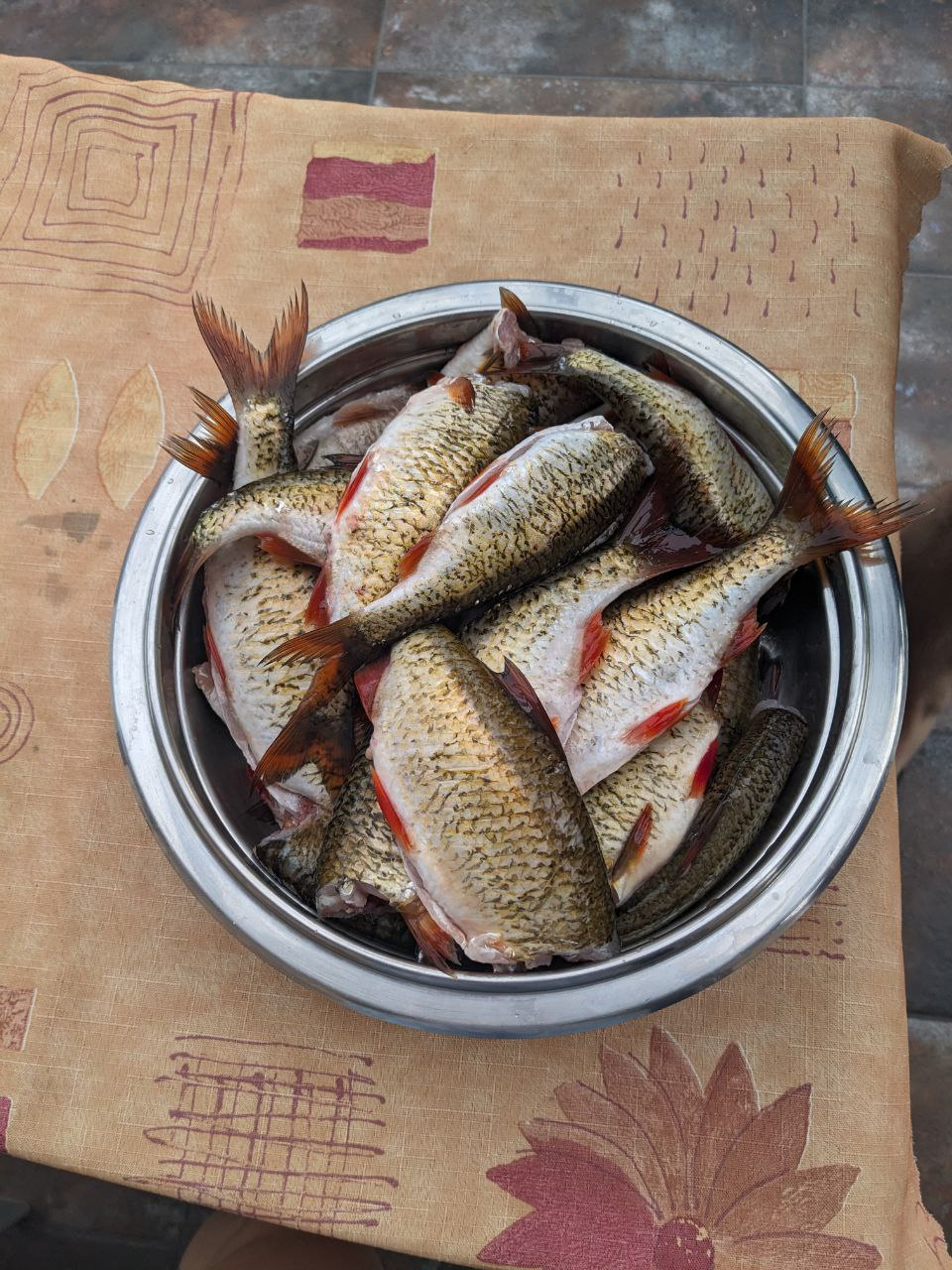 83b9a65e-d38c-4b47-a19c-6af244e92478