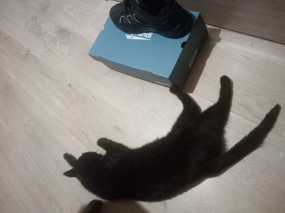 ce8a9aba-4d01-45aa-99de-bb6b40eca80b