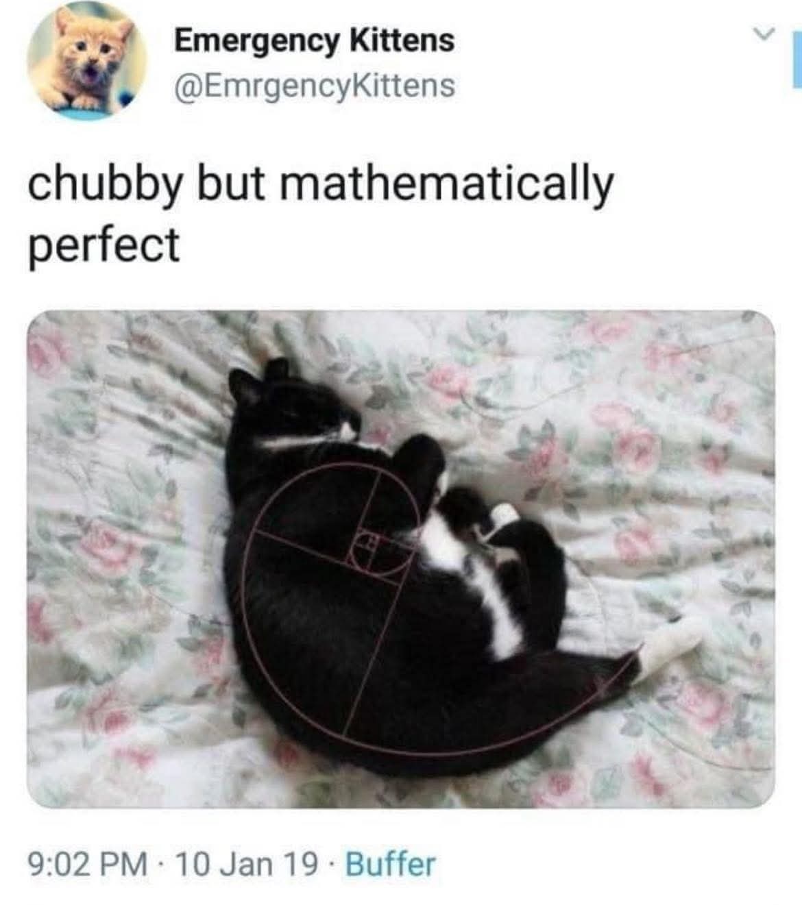 8b2d7def-a788-47a2-9d36-371ae70e2cd7