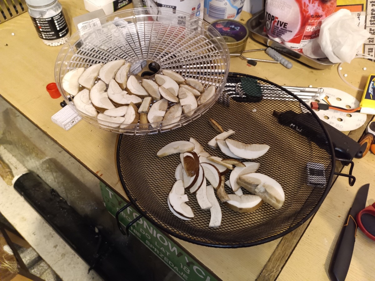 f0f6e424-4d62-47c3-bcd3-2068418e86d4