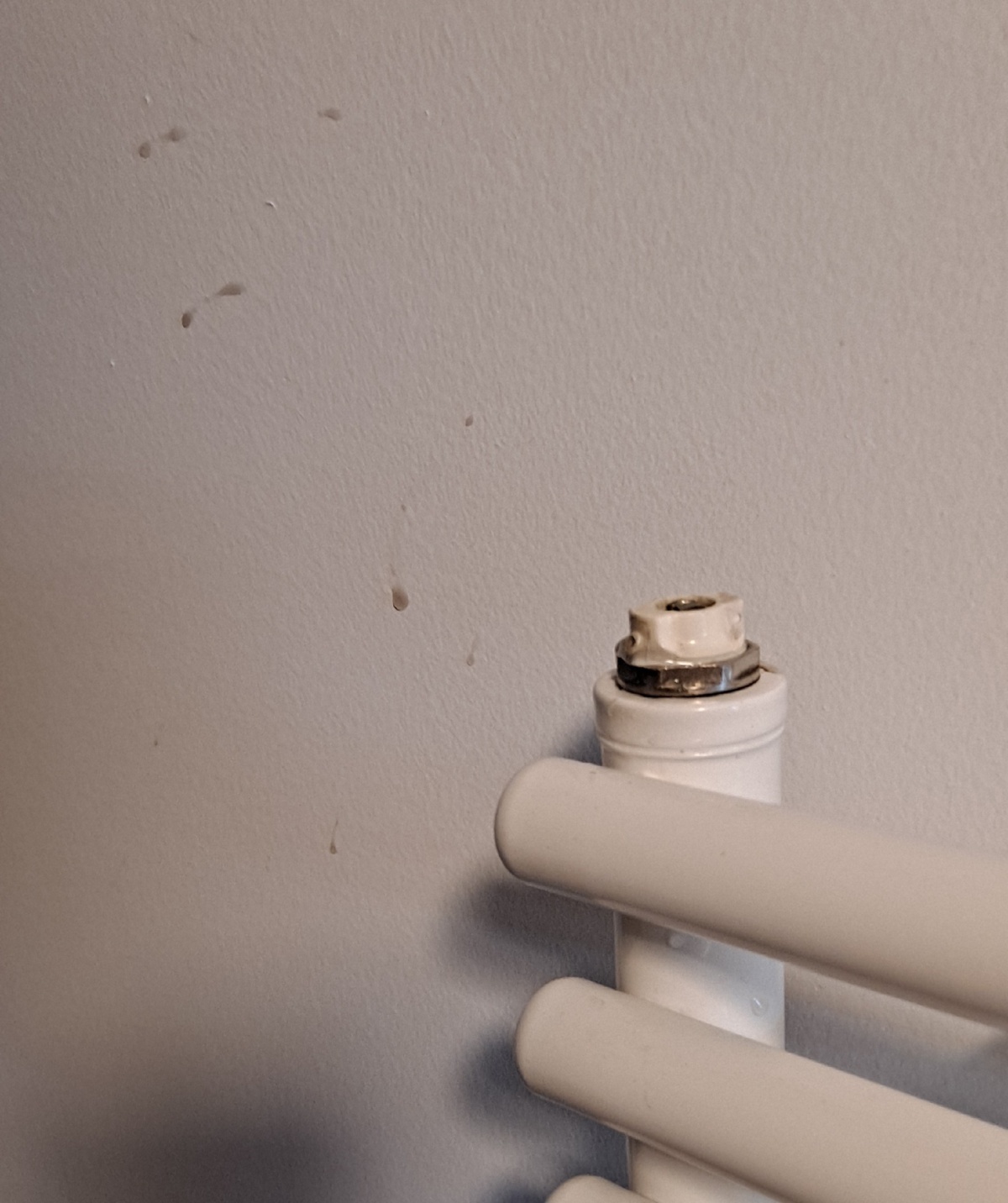 ebc136da-3a0d-4eb7-9823-d9d3a43949ec