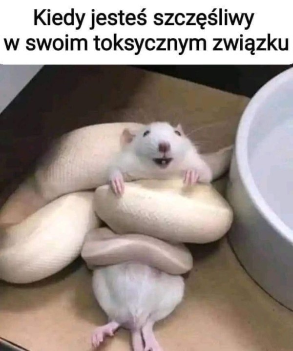 77ee9542-4af7-4c42-8370-1baa4f94862f