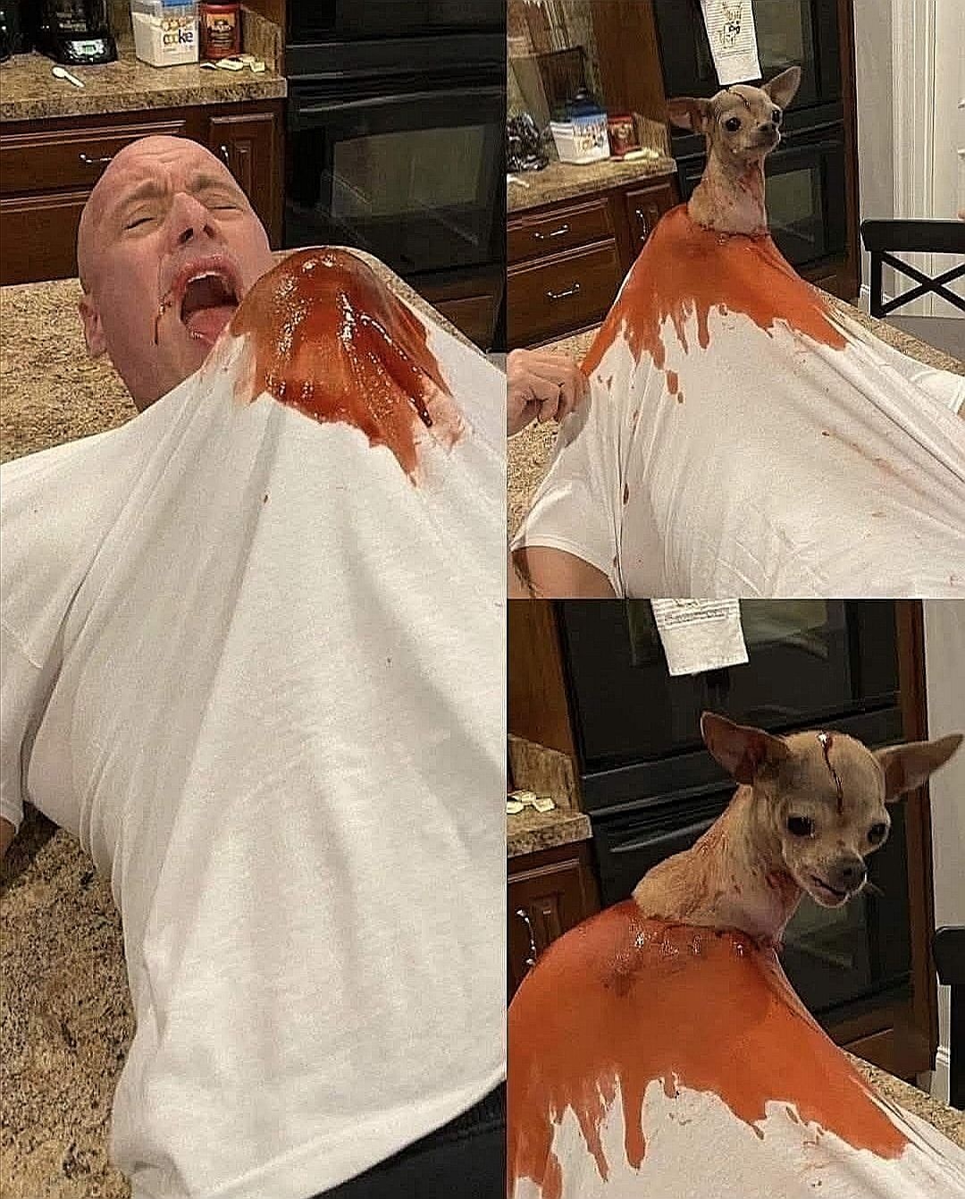 8d248f25-53dd-48d7-b0d8-36793291649c