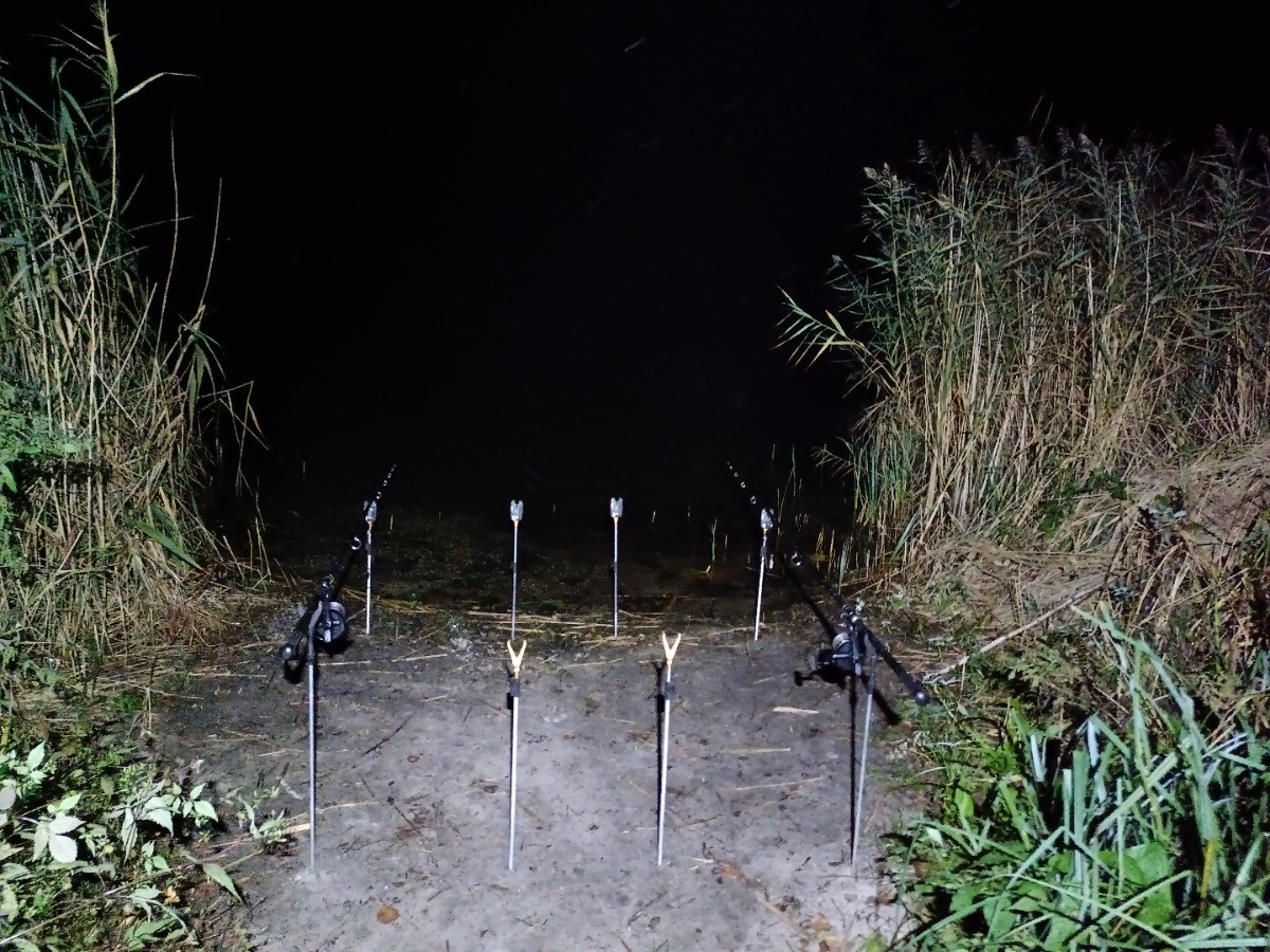 46cd8d1e-98e3-48a9-8af5-b6e4e95a51b4