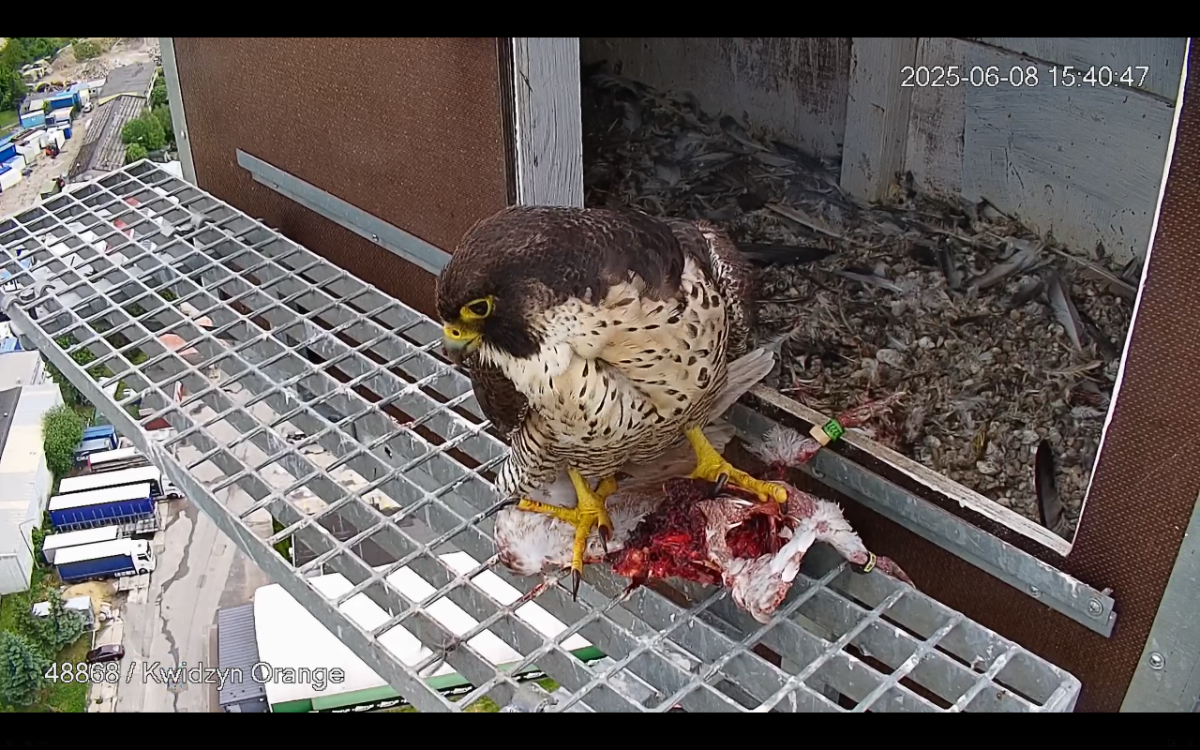 74a58b97-bfe4-4a1a-b97e-eeedfc4af717