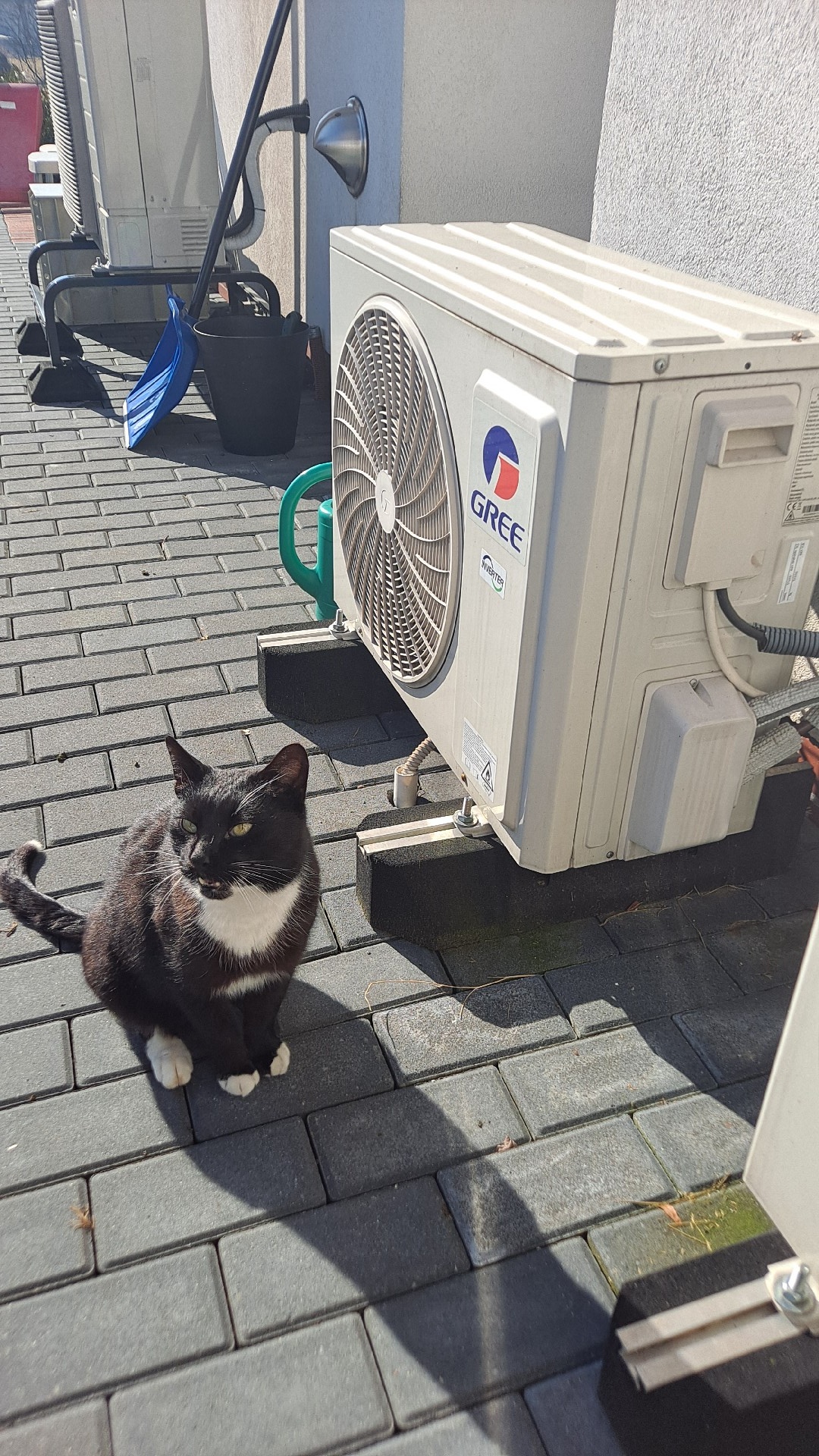 06c550d6-1663-4928-a983-ec3e149ed1e6