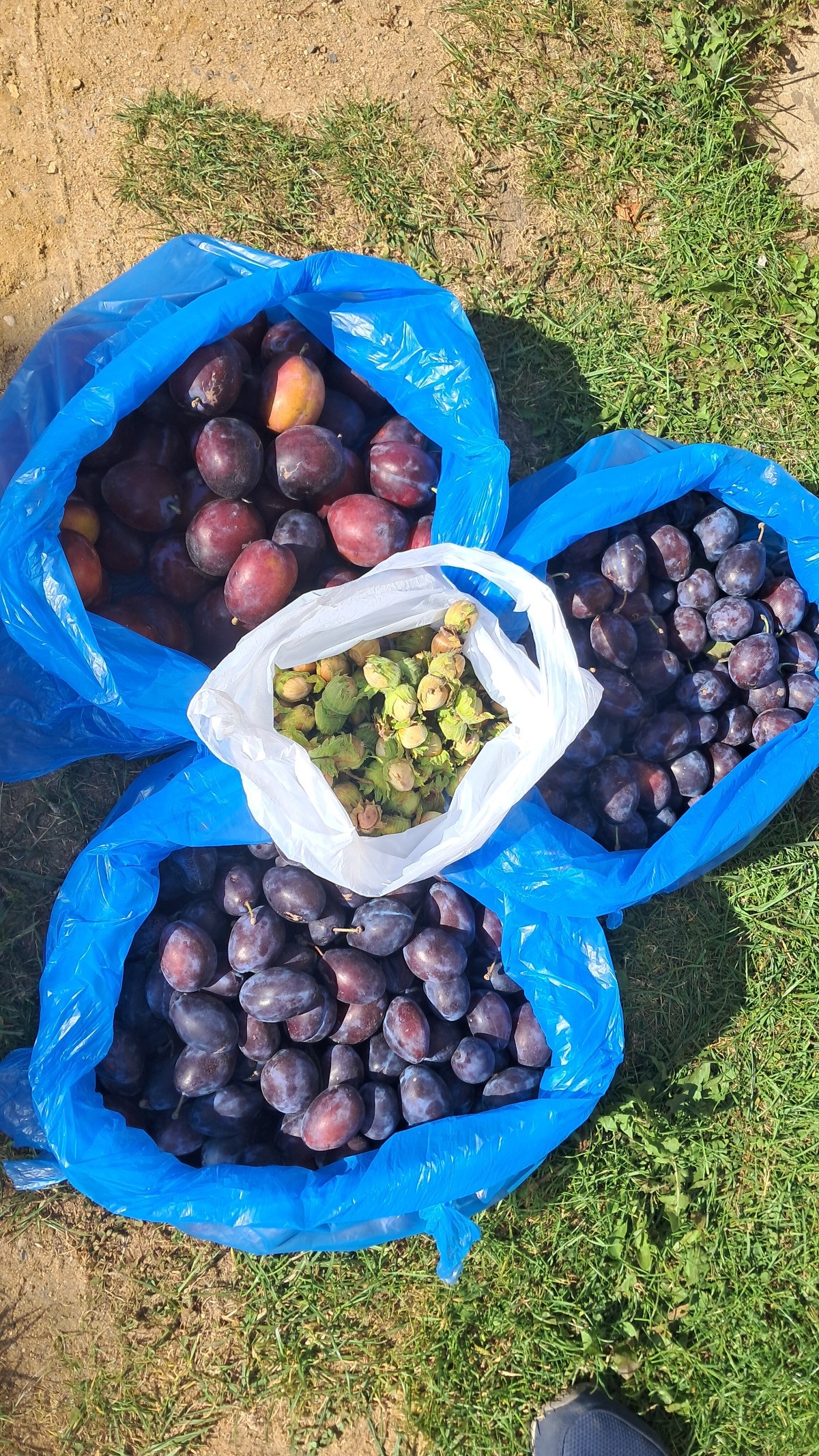 410e8659-3b74-4ab3-bb80-c8ead8a84f08