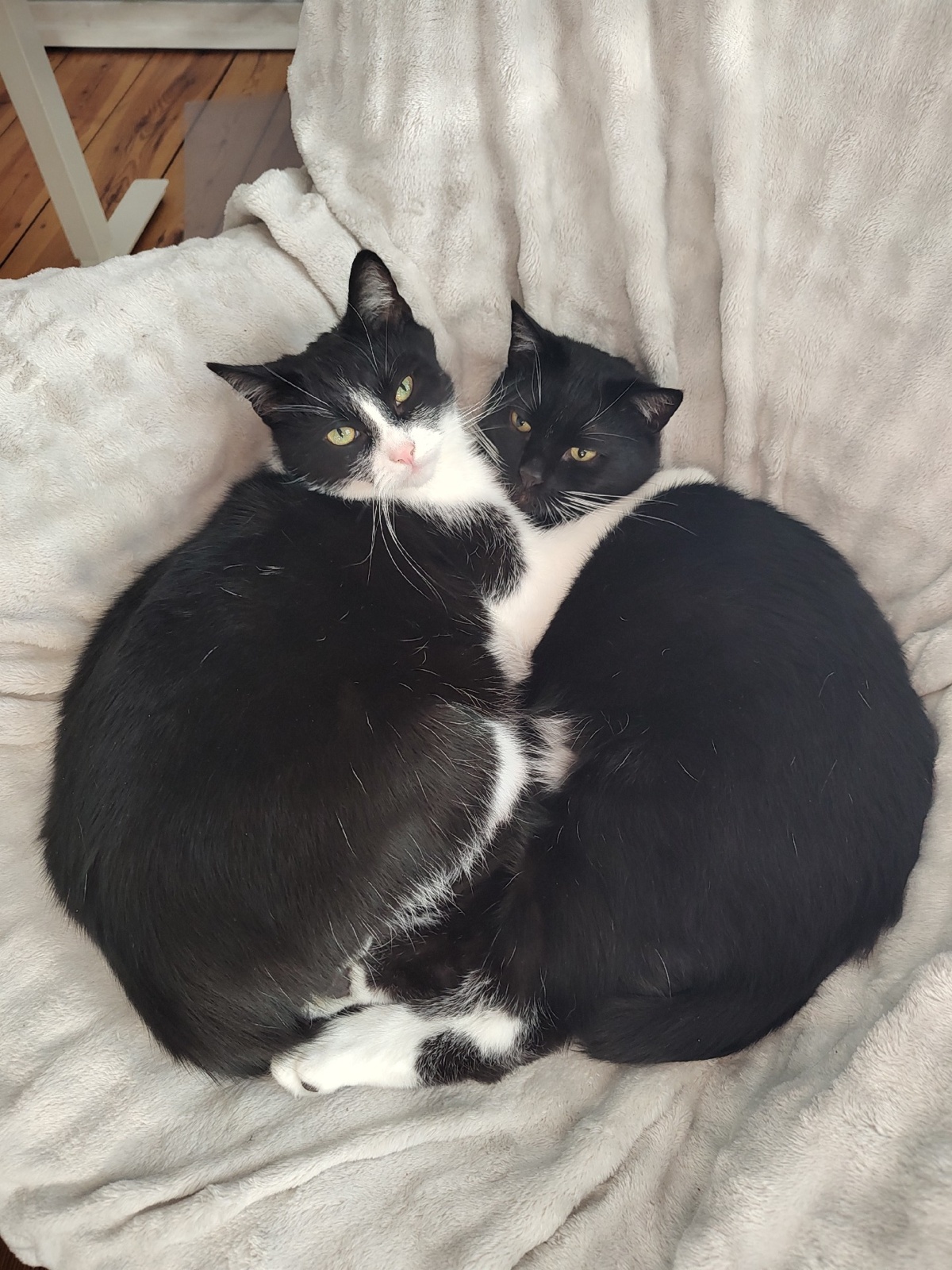 a49470f7-6881-4e81-9153-2d62722181b9