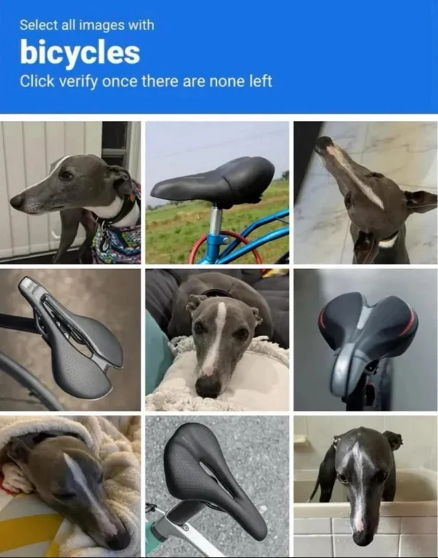 2441ddbc-9ddd-4a50-9778-c72338f41f2e