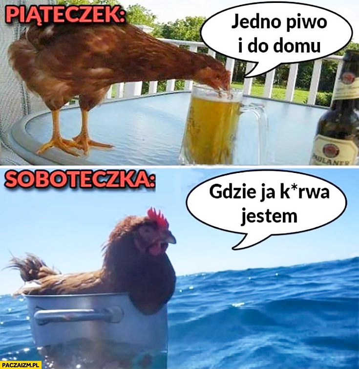 6c91b868-bdc7-48bc-ad05-13b490dc10f1