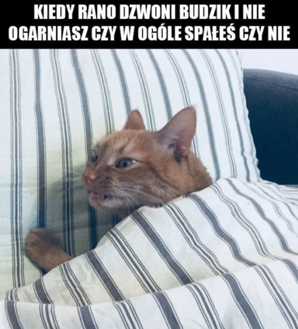 f682340f-562d-4f9c-a847-4ce17976094c