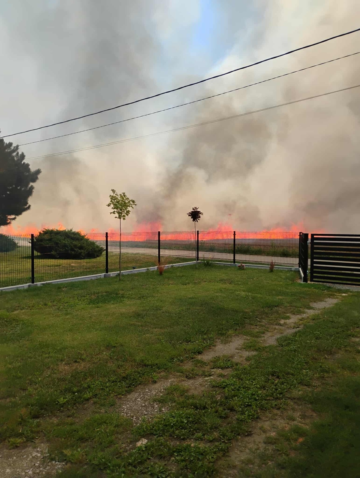 10f8c3a5-7458-4f83-ab59-d5e269d97c68