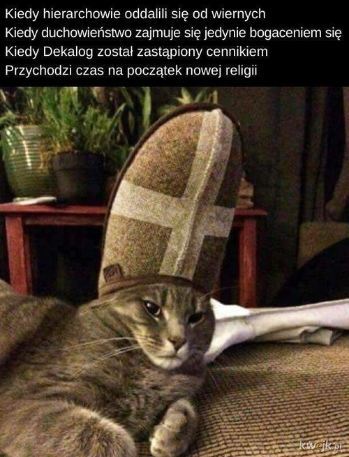 bf9d9dc3-946f-4220-b37c-a41fed07ce12