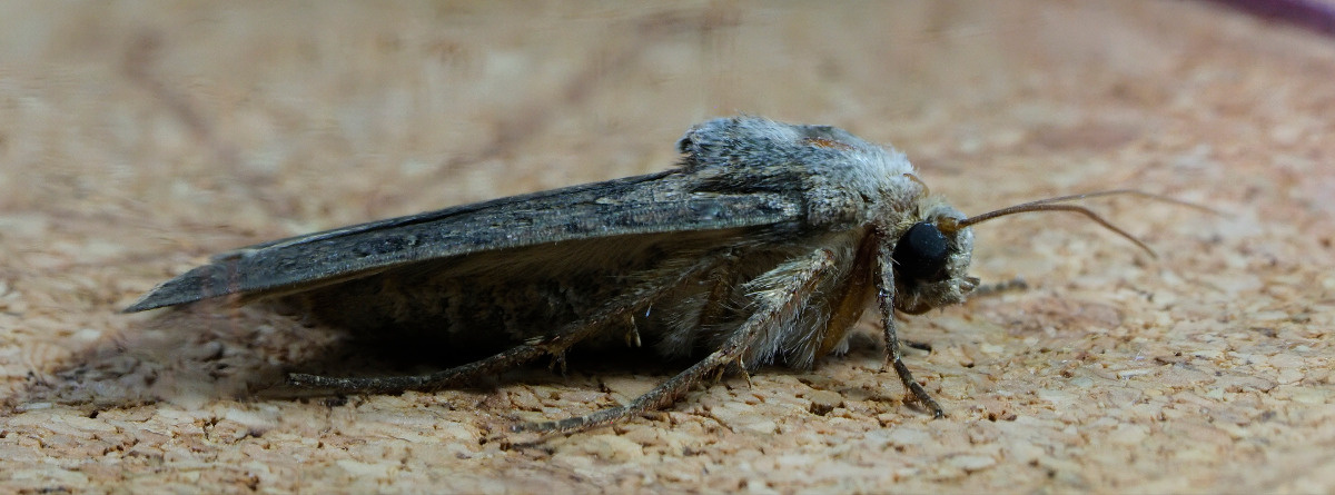 36718fb7-0886-472d-8c33-ee300f25827e