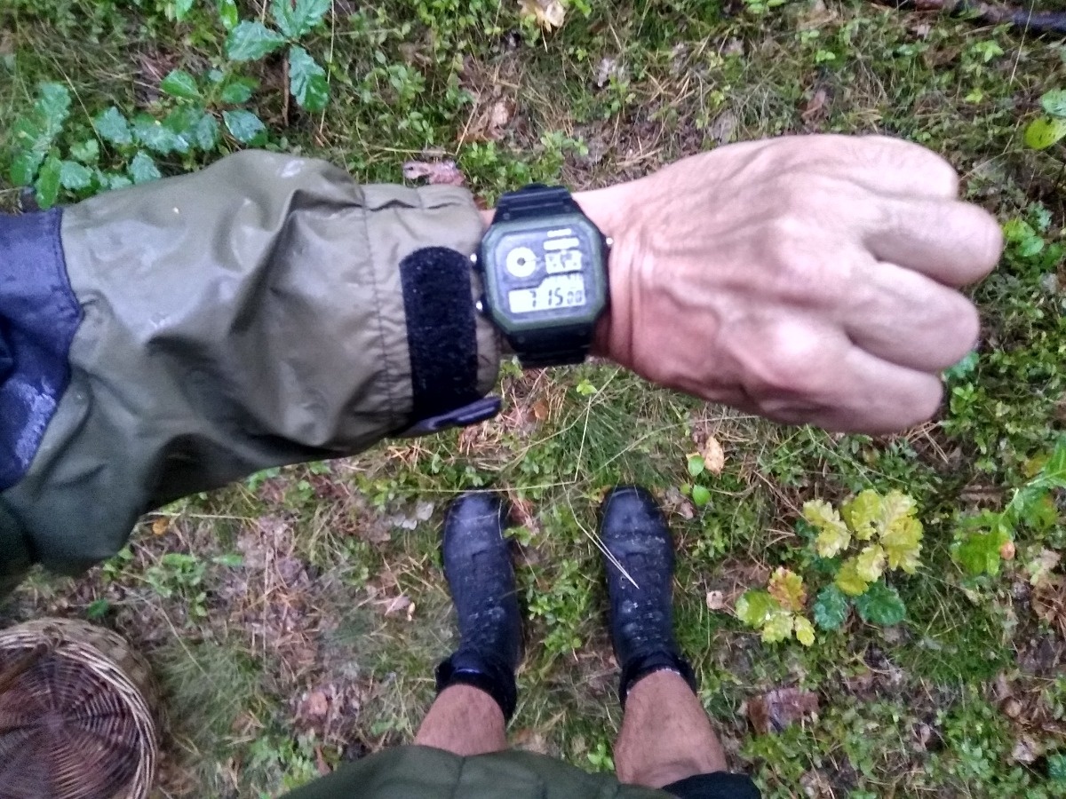 efd48a72-43ac-4bb6-a306-08eb0b7ded94