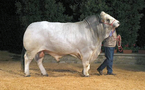 f97b11ee-2769-44c8-b6f2-9502465a2b46