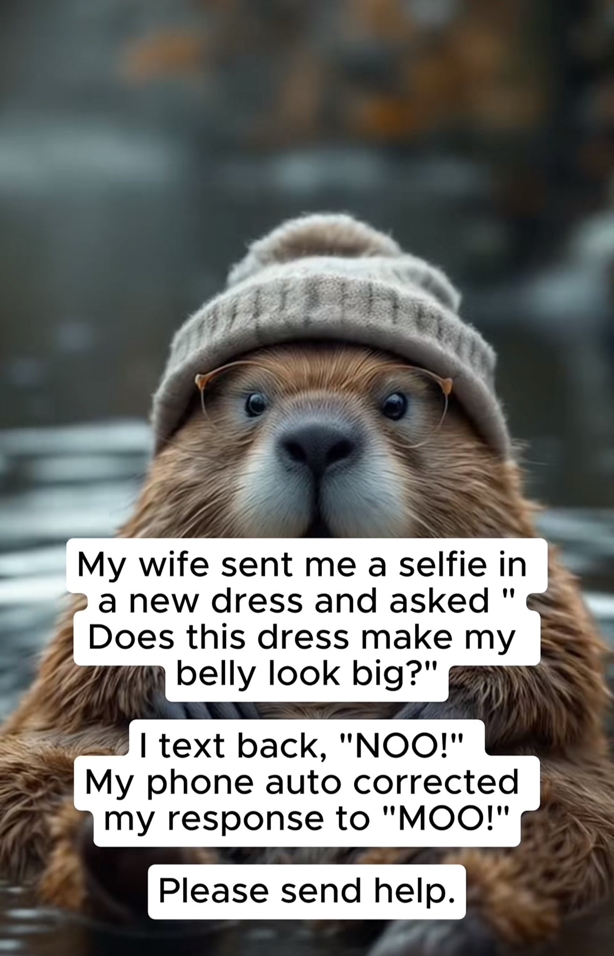 dfa8ee3a-3a26-464c-ac59-720d27fcbe5e