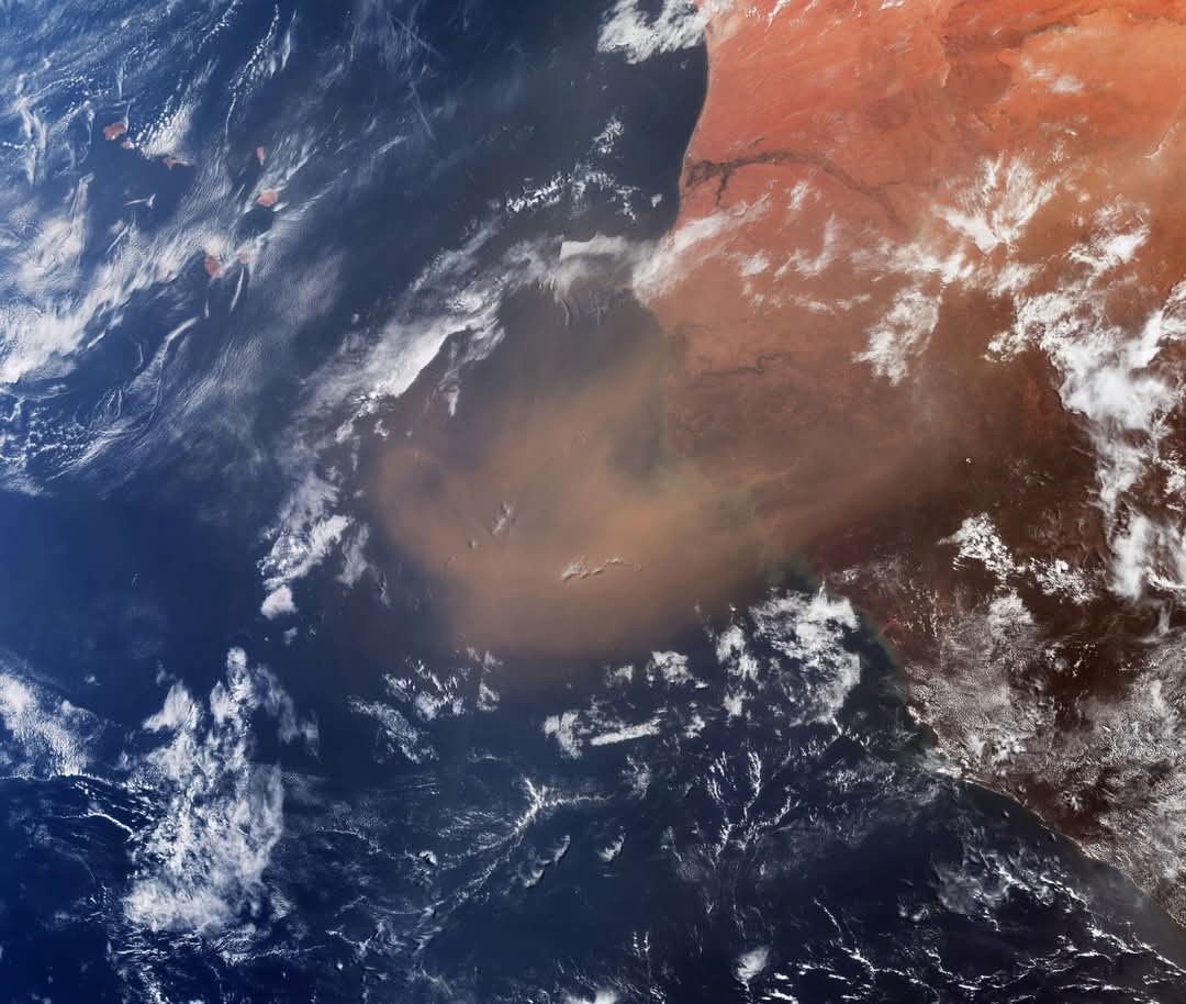 752d0bbe-1137-4c3f-8cc0-3f06b5a7eb17