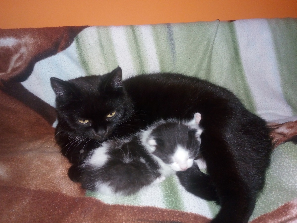 30cee18e-854c-48d0-9c2f-8995ce1b2940