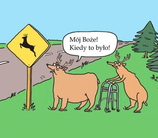 6964c1e7-dbe1-49f7-9fa3-3d015905ff08