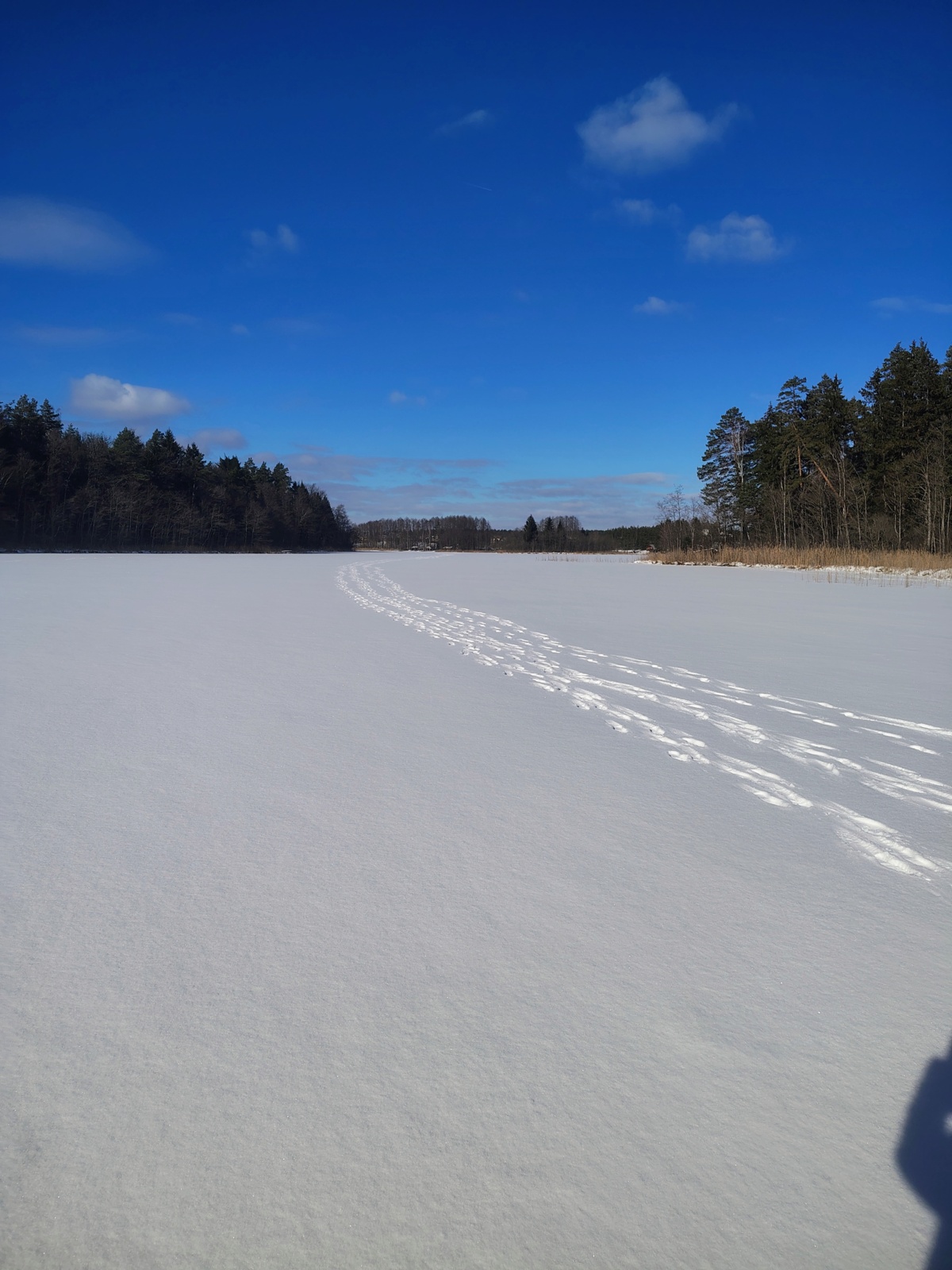 c840438e-93bd-404c-bf96-39737ef03910