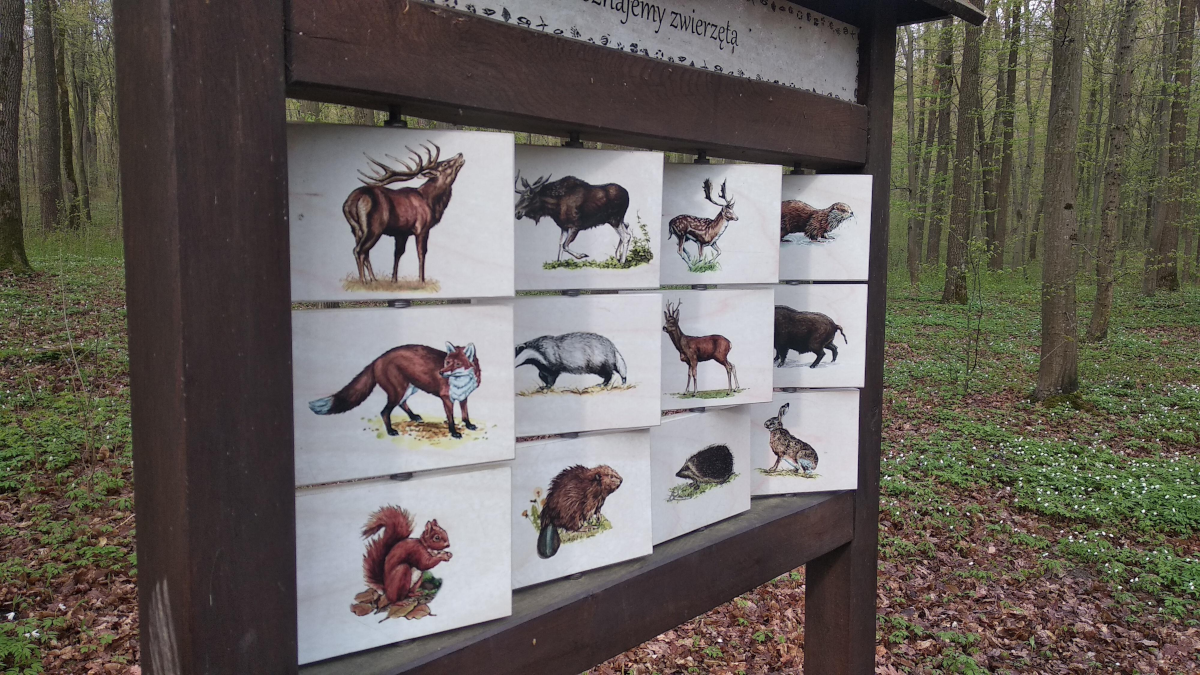 7e10c91d-6897-4511-b286-7289097c27ef