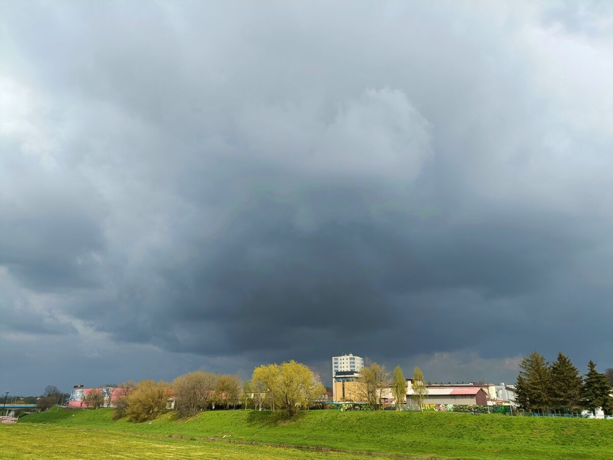 449f6cb1-7bf6-4510-b7fe-830eb385d5d5