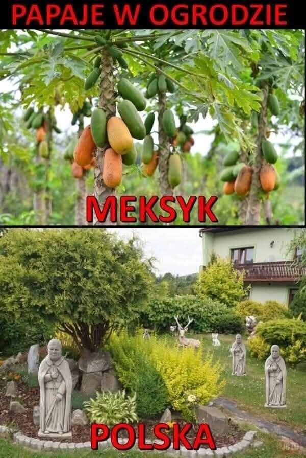 dade1f9b-8e6b-437c-8251-f1bd0f7b2d23