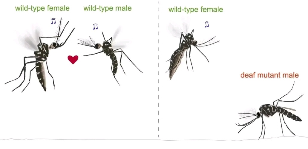 a9d10a72-b760-438a-b19f-203f8f164d6a