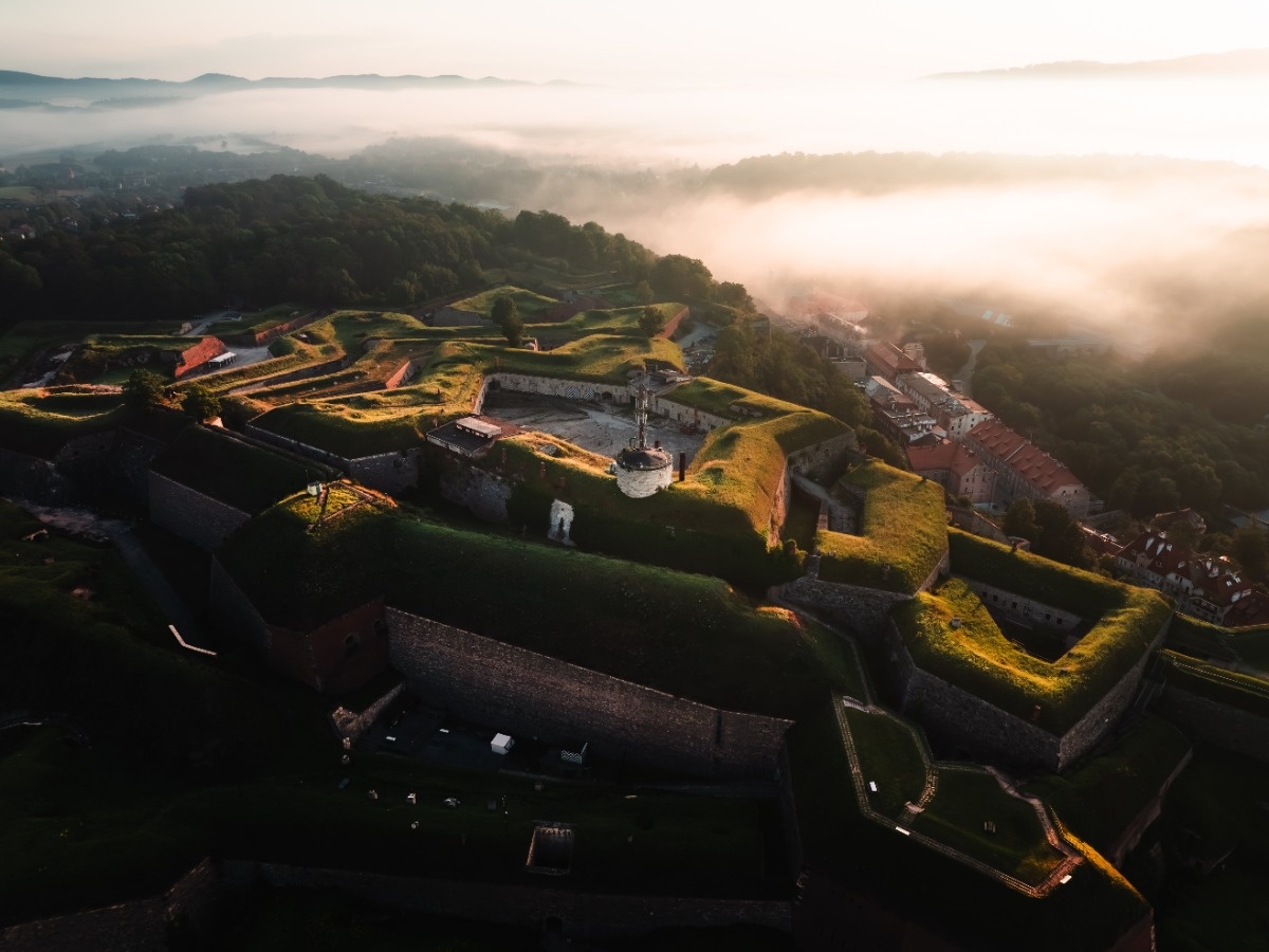 99da294d-2beb-4978-98e6-b55d9975d09e