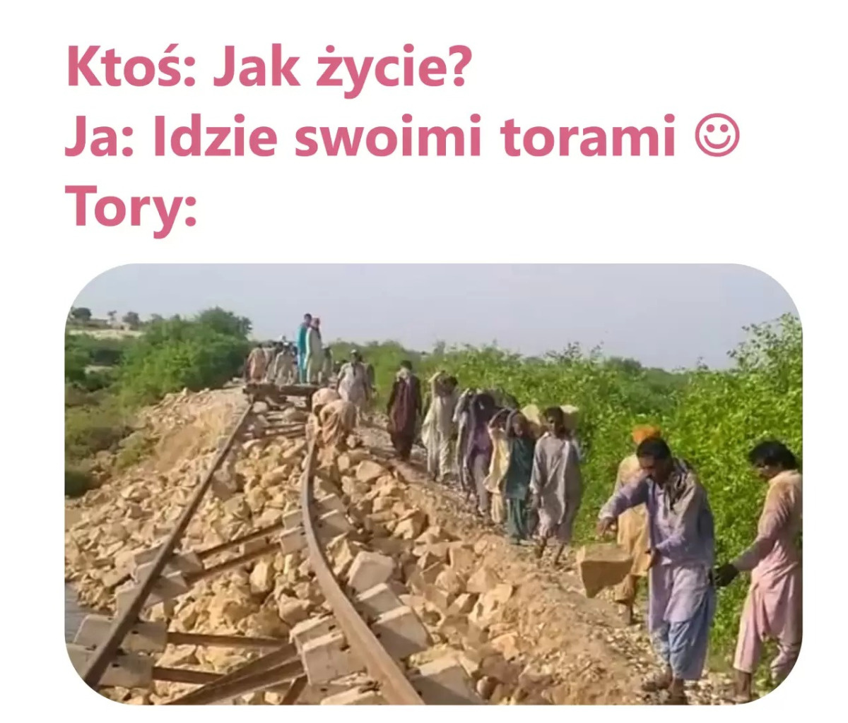 a5335ef8-4428-4be1-b33d-f30419f200ea