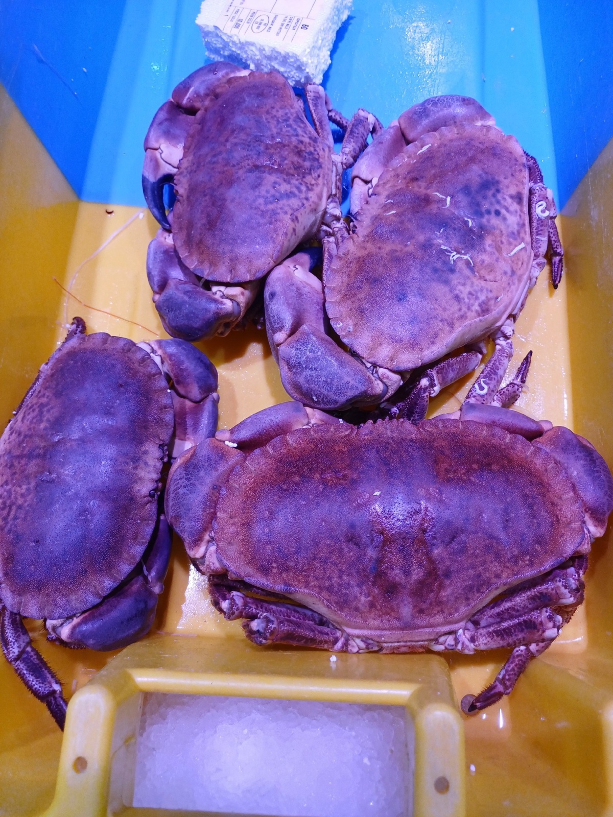 5bd724b9-4628-42f7-94e4-e4e4e9850d21