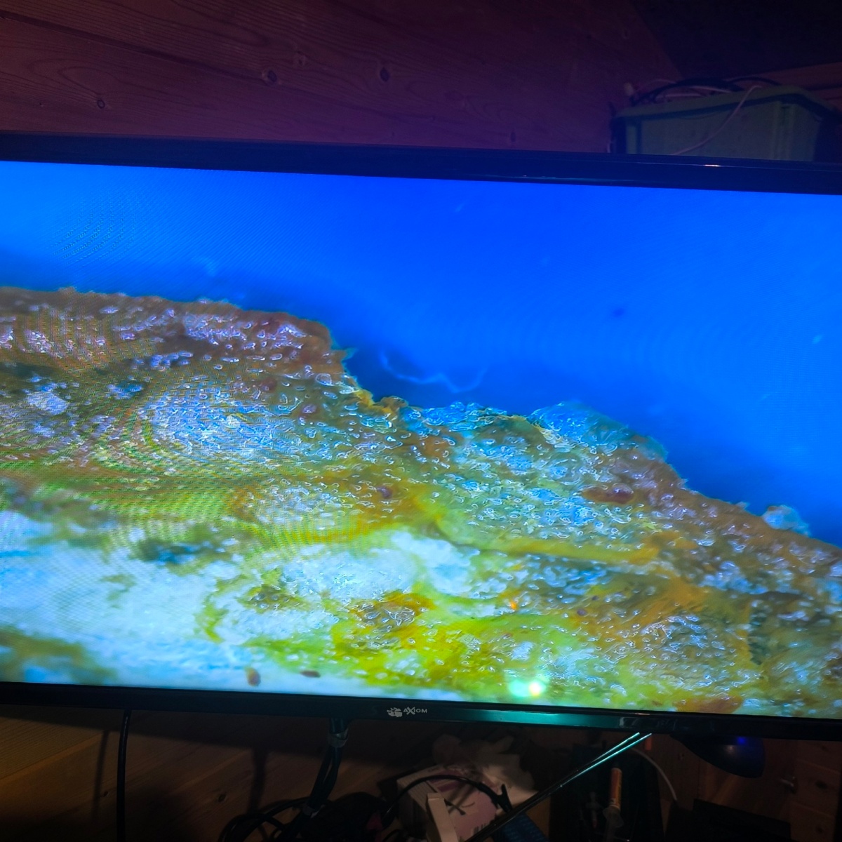 0aa78ef2-10a6-455b-b3bd-80482e5c3291