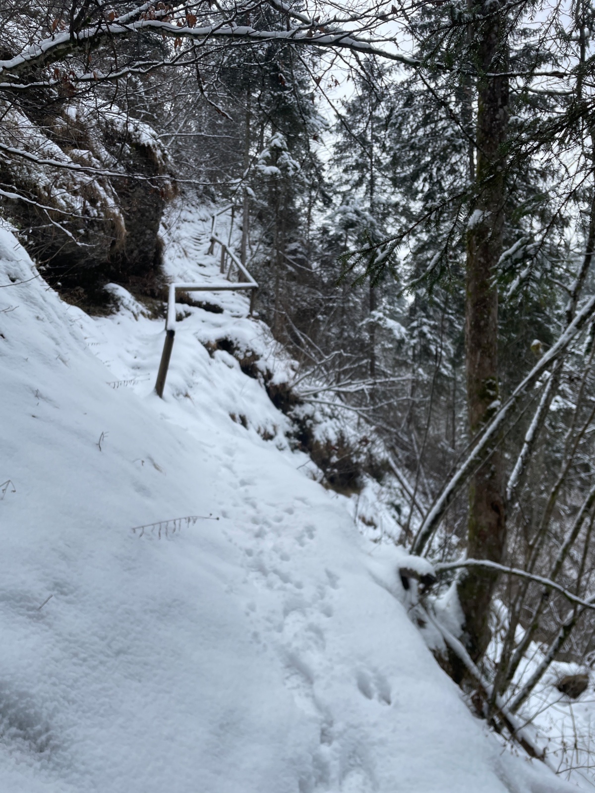 22fa4b7b-406c-48a7-877c-e593ec59a230