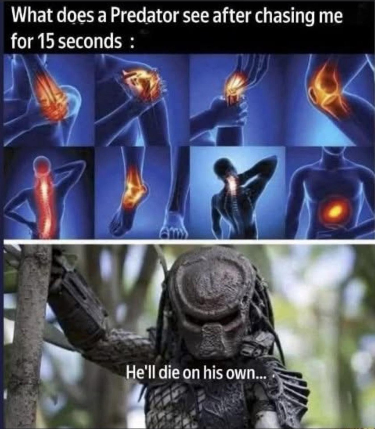 a78d4595-65c4-405e-8394-15aa9c71664c