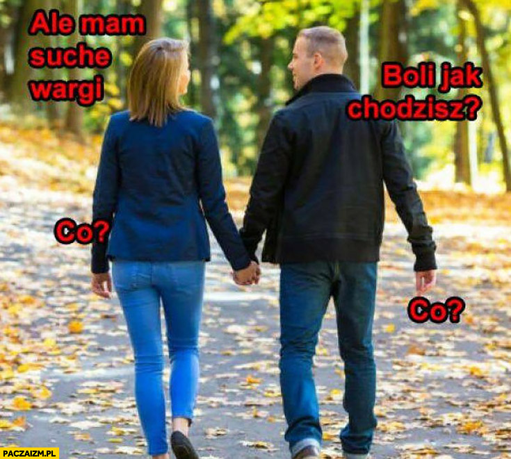 d819d6a5-f28b-4994-baea-e1cf11a0d258