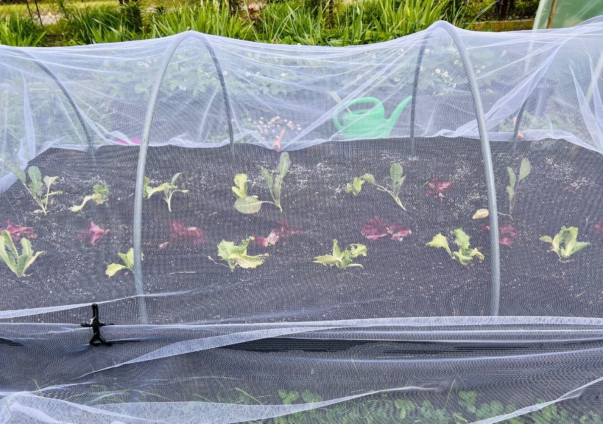 b6434fc0-edcc-43a2-83d6-67fdfe53d127