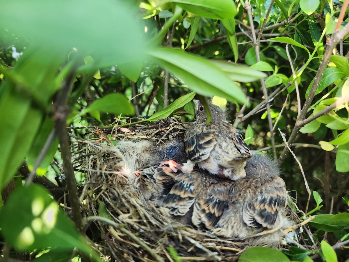 f6a4c89d-4ee6-405e-9b81-35039a49ab2c