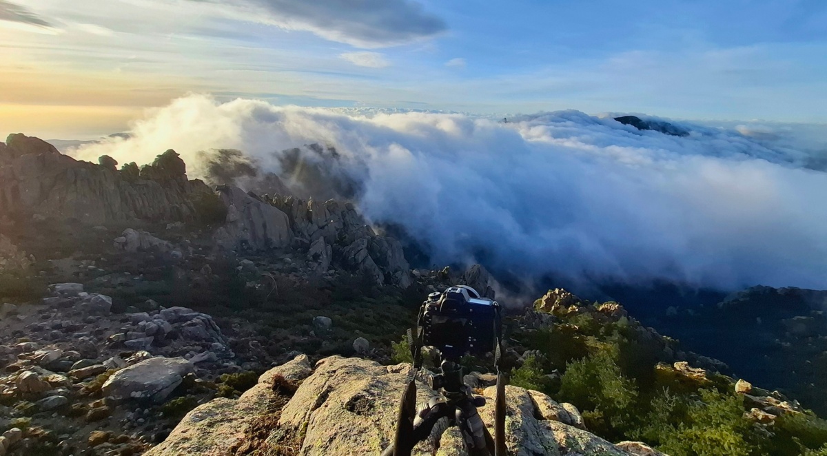 bda79308-e9ca-41e5-840b-038dbccbd1df