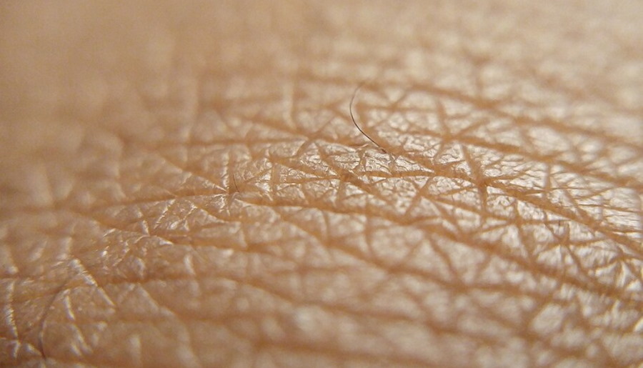 Grzyby żyjące na ludzkiej skórze mogą być źródłem nowych antybiotyków