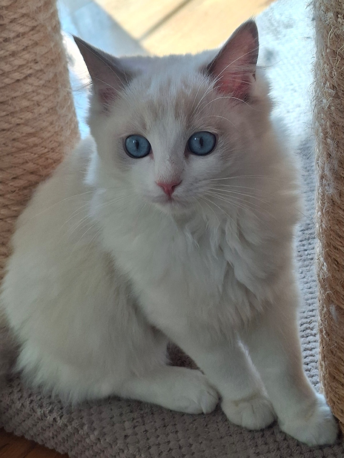 28c78ddc-289e-4400-a2e6-d50c949d3ca4